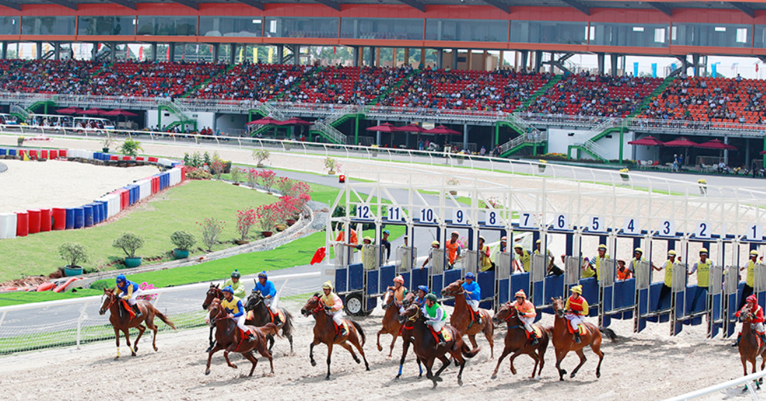 Khám phá sơ lược về Trường Đua Ngựa 123b