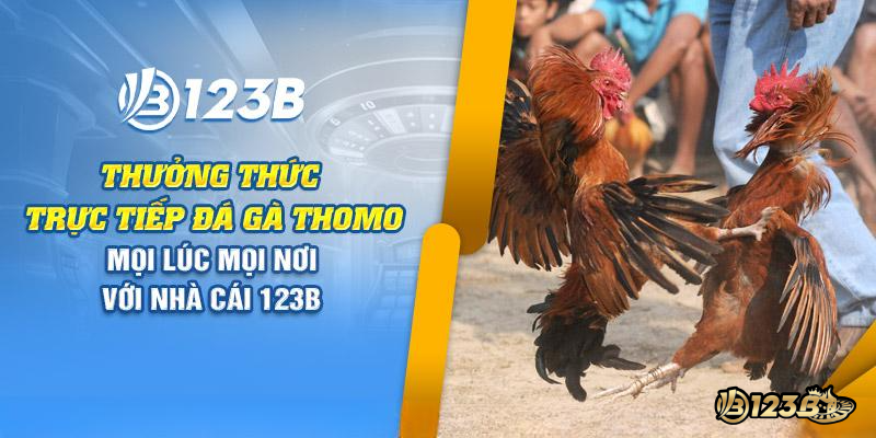 Đá gà Thomo 123B